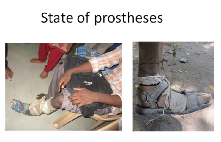 Freedom Trust Activity 17